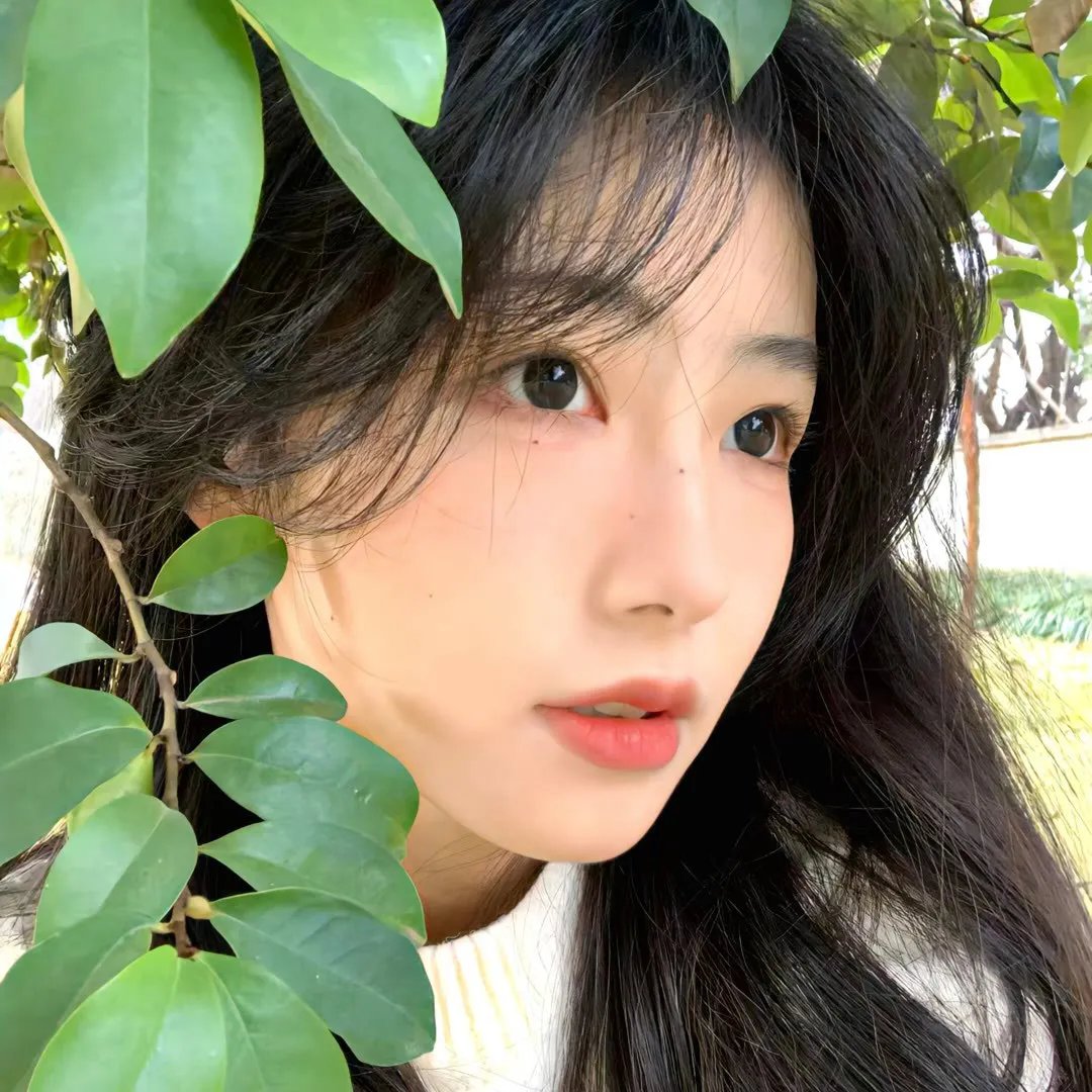 寂静的朋友